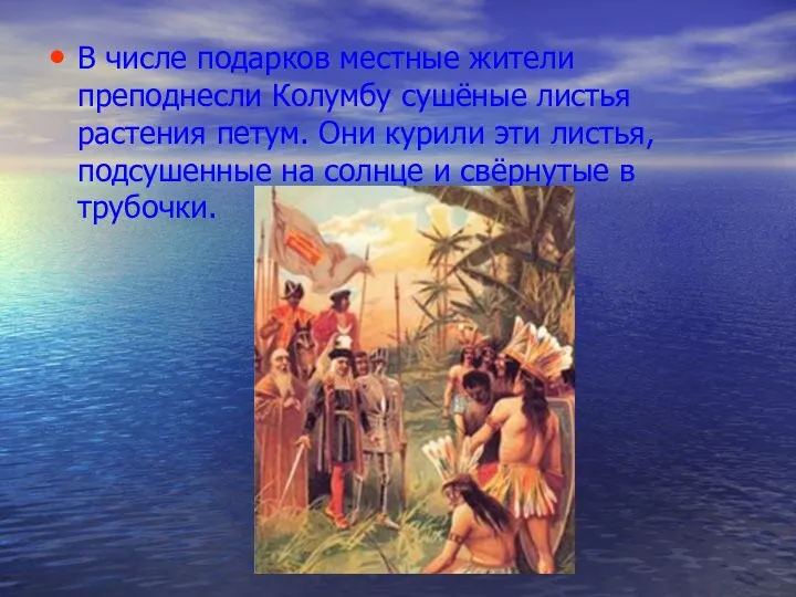 В числе подарков местные жители преподнесли Колумбу сушёные листья растения петум.