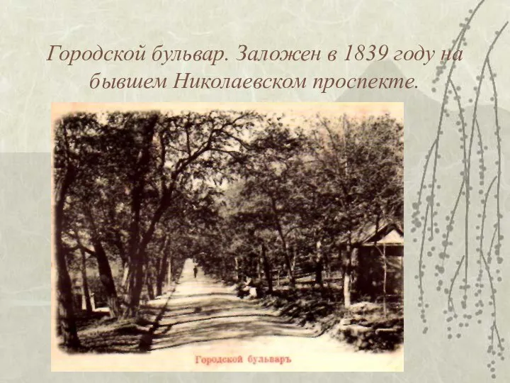 Городской бульвар. Заложен в 1839 году на бывшем Николаевском проспекте.