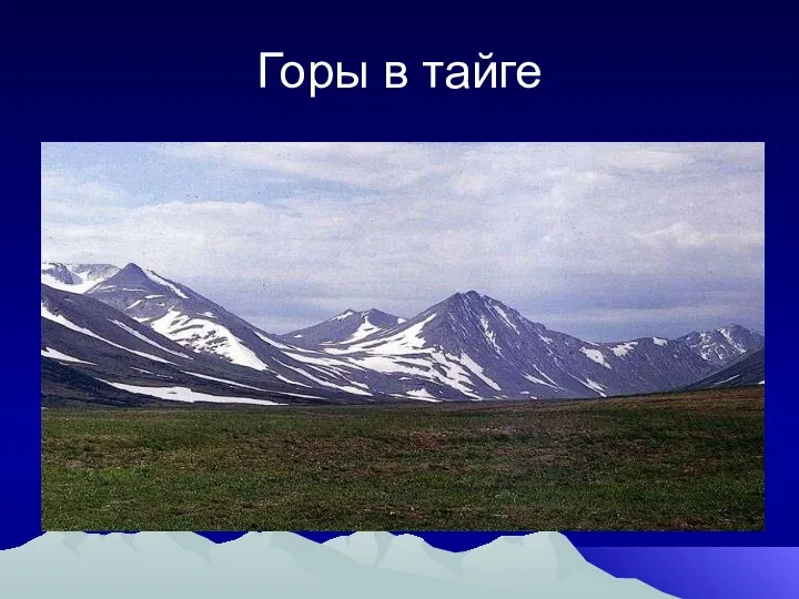 Горы в тайге