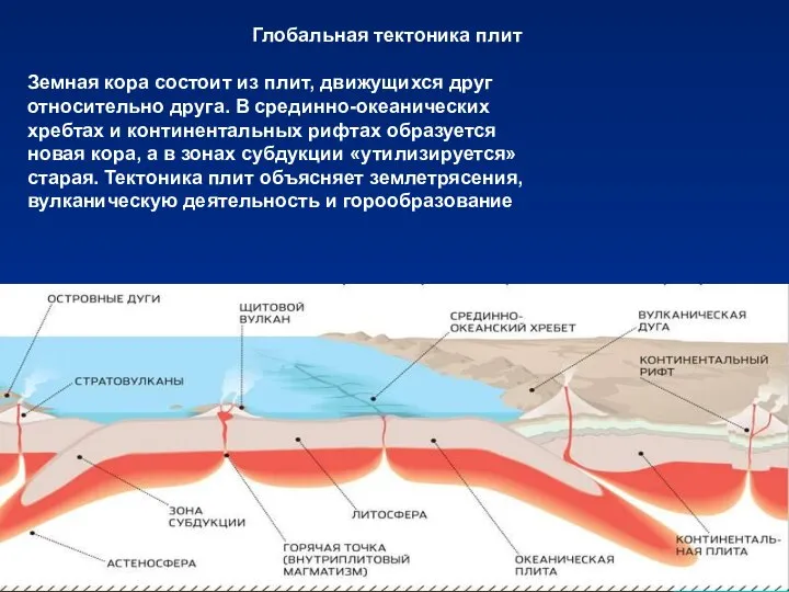 Глобальная тектоника плит Земная кора состоит из плит, движущихся друг относительно