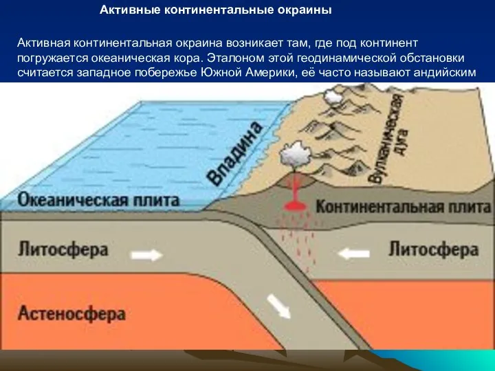 Активные континентальные окраины Активная континентальная окраина возникает там, где под континент