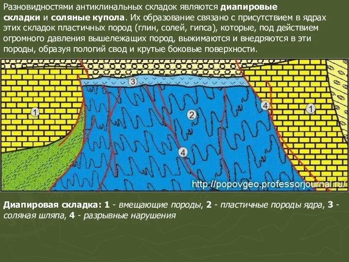 Разновидностями антиклинальных складок являются диапировые складки и соляные купола. Их образование