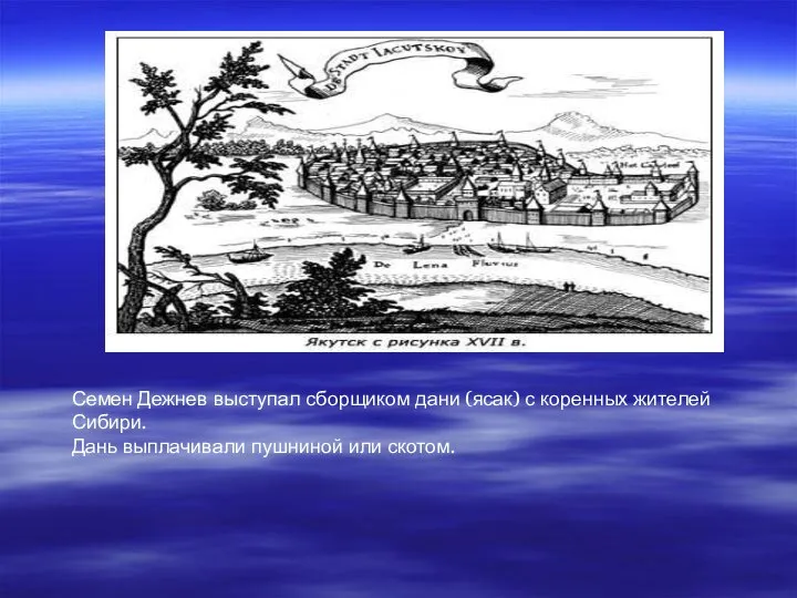 Семен Дежнев выступал сборщиком дани (ясак) с коренных жителей Сибири. Дань выплачивали пушниной или скотом.