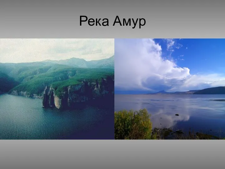 Река Амур