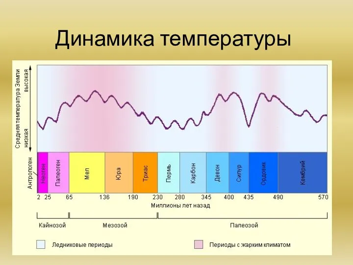 Динамика температуры