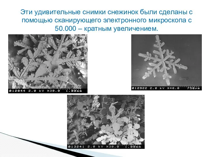 Эти удивительные снимки снежинок были сделаны с помощью сканирующего электронного микроскопа с 50.000 – кратным увеличением.