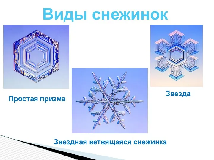 Виды снежинок Простая призма Звезда Звездная ветвящаяся снежинка