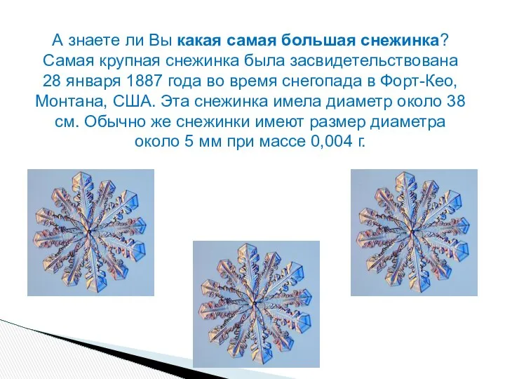 А знаете ли Вы какая самая большая снежинка? Самая крупная снежинка