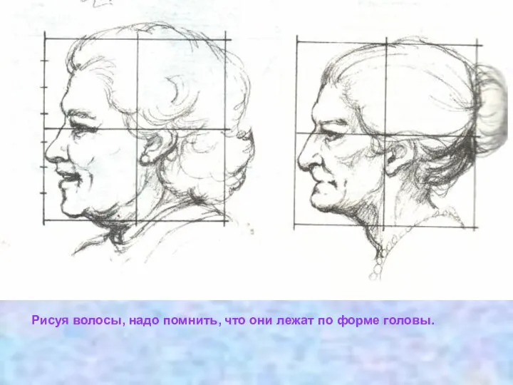 Рисуя волосы, надо помнить, что они лежат по форме головы.