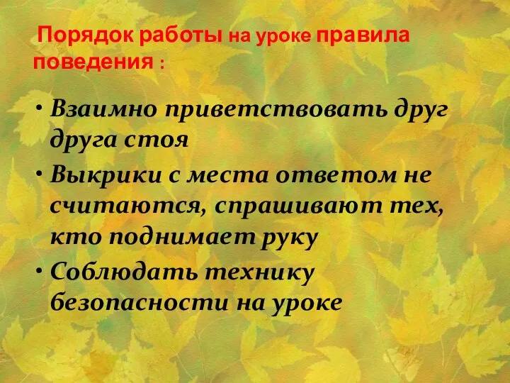 Порядок работы на уроке правила поведения : Взаимно приветствовать друг друга