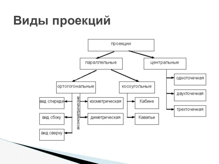 Виды проекций