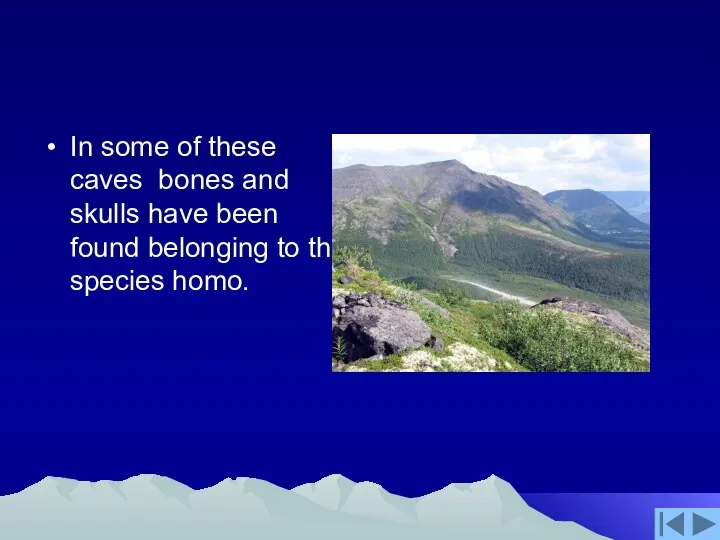 In some of these caves bones and skulls have been found belonging to the species homo.