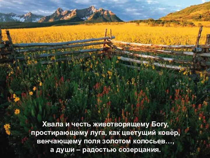 Хвала и честь животворящему Богу, простирающему луга, как цветущий ковёр, венчающему