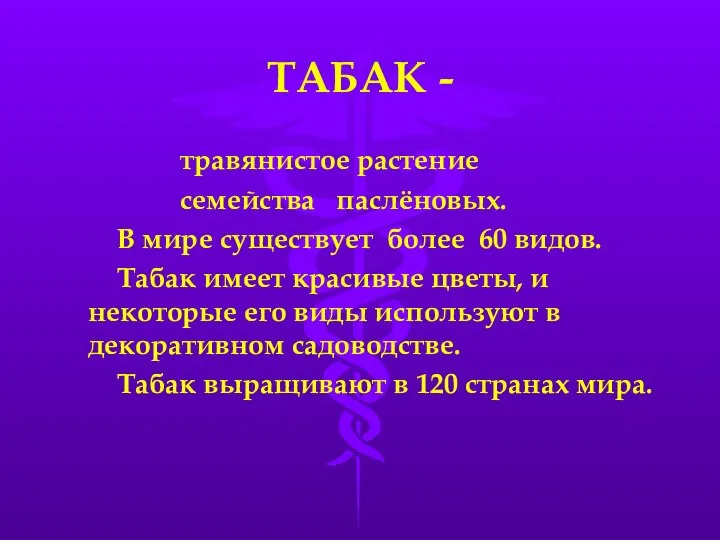 ТАБАК - травянистое растение семейства паслёновых. В мире существует более 60