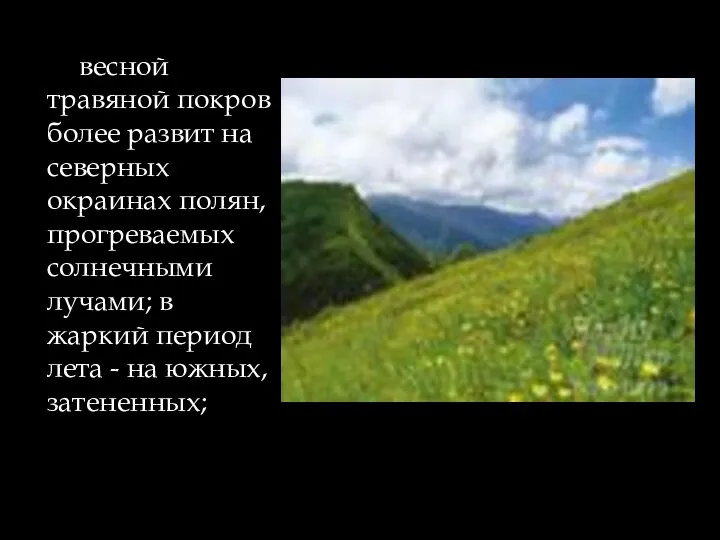 весной травяной покров более развит на северных окраинах полян, прогреваемых солнечными