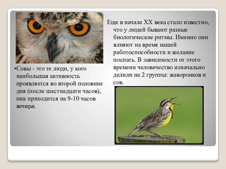 Еще в начале XX века стало известно, что у людей бывают