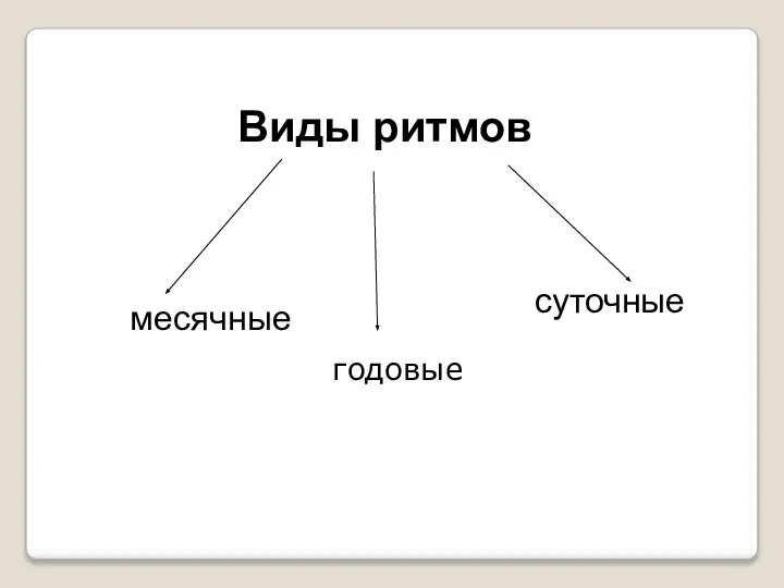 Виды ритмов месячные суточные Г годовые огггчные