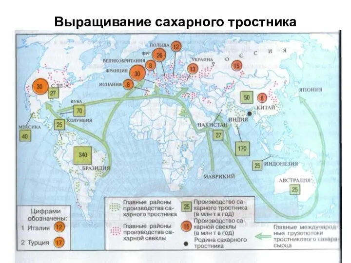 Выращивание сахарного тростника