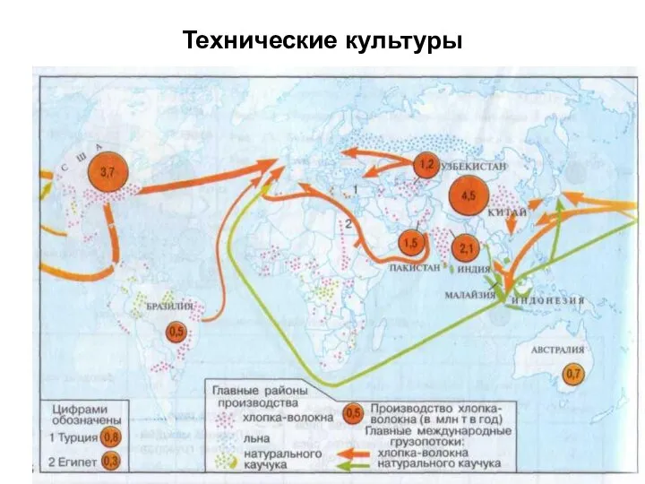 Технические культуры