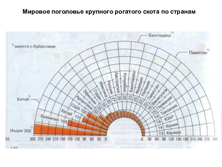 Мировое поголовье крупного рогатого скота по странам