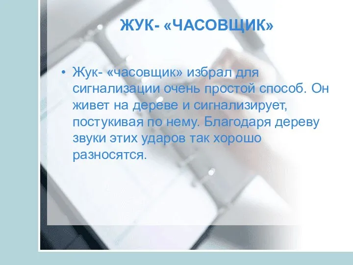 ЖУК- «ЧАСОВЩИК» Жук- «часовщик» избрал для сигнализации очень простой способ. Он