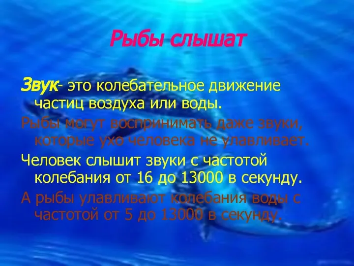 Рыбы слышат Звук- это колебательное движение частиц воздуха или воды. Рыбы