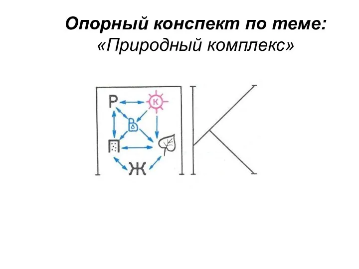 Опорный конспект по теме: «Природный комплекс»