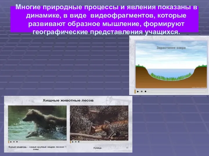 Многие природные процессы и явления показаны в динамике, в виде видеофрагментов,