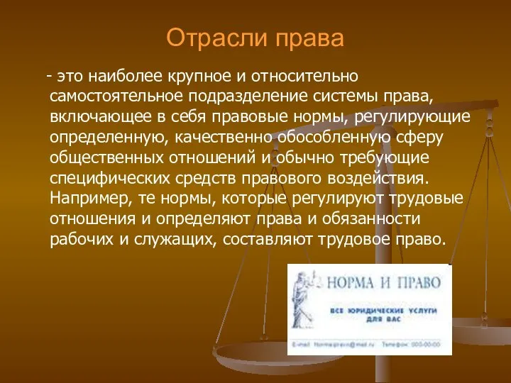 Отрасли права - это наиболее крупное и относительно самостоятельное подразделение системы