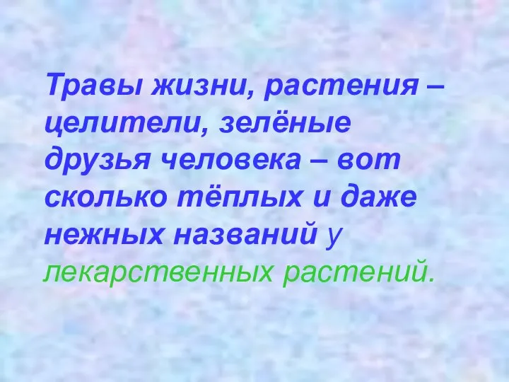 Травы жизни, растения – целители, зелёные друзья человека – вот сколько