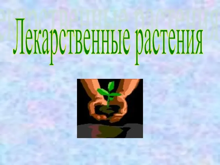 Лекарственные растения