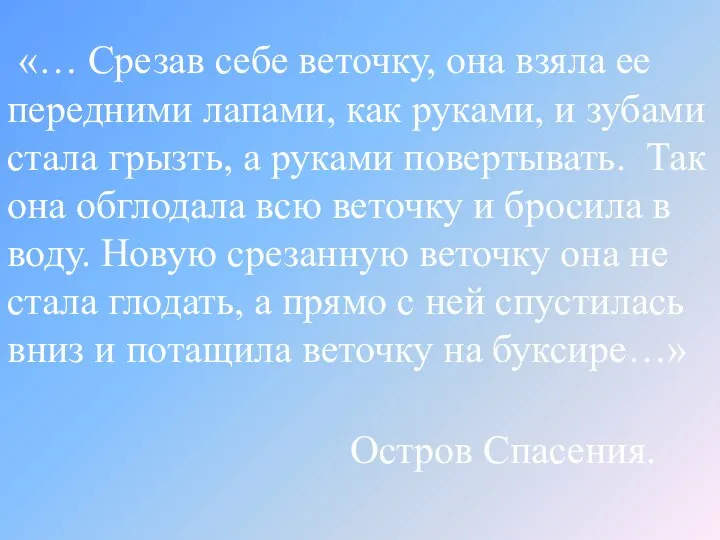 «… Срезав себе веточку, она взяла ее передними лапами, как руками,