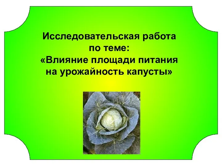 Исследовательская работа по теме: «Влияние площади питания на урожайность капусты»