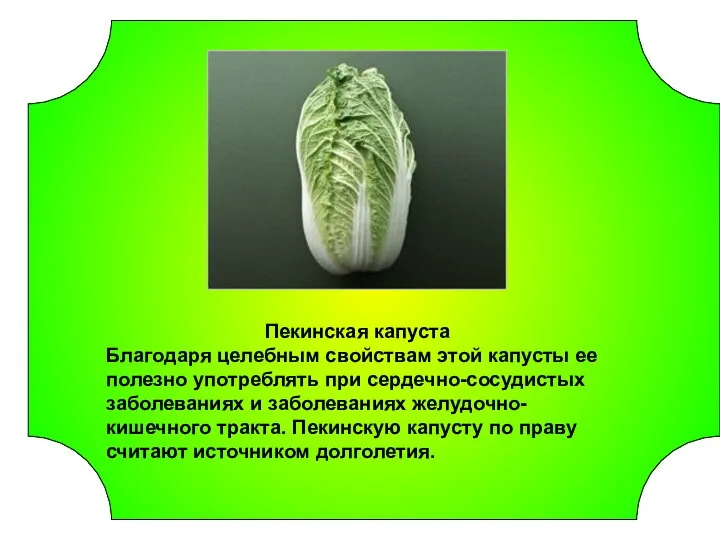 Пекинская капуста Благодаря целебным свойствам этой капусты ее полезно употреблять при