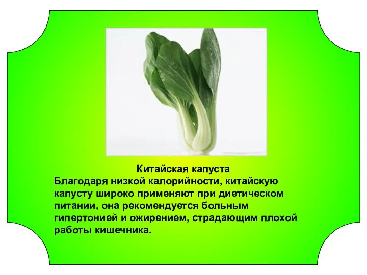 Китайская капуста Благодаря низкой калорийности, китайскую капусту широко применяют при диетическом