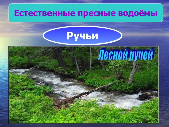 Естественные пресные водоёмы Реки Обь возле города Камня-на-Оби. Обь возле города