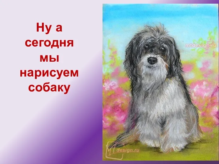 Ну а сегодня мы нарисуем собаку