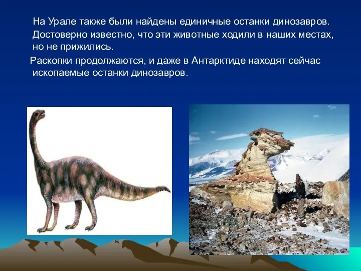 На Урале также были найдены единичные останки динозавров. Достоверно известно, что