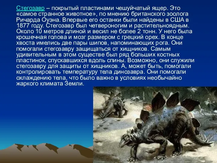 Стегозавр – покрытый пластинами чешуйчатый ящер. Это «самое странное животное», по