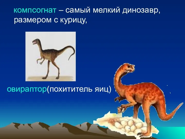 компсогнат – самый мелкий динозавр, размером с курицу, овираптор(похититель яиц)