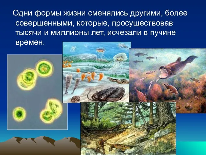 Одни формы жизни сменялись другими, более совершенными, которые, просуществовав тысячи и