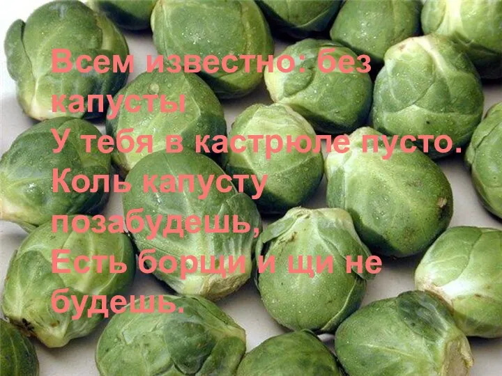 Всем известно: без капусты У тебя в кастрюле пусто. Коль капусту