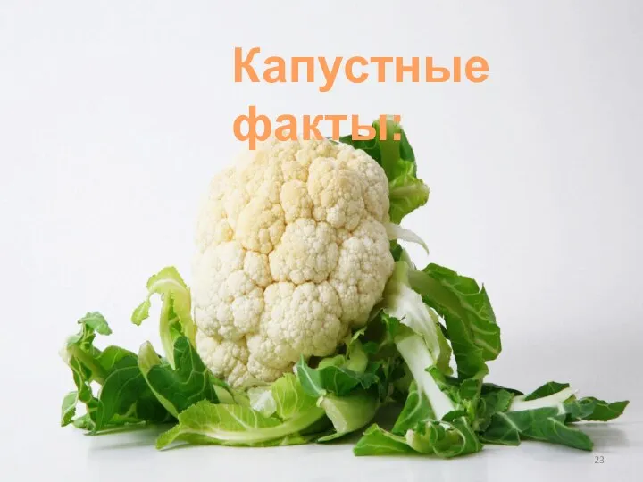 Капустные факты: