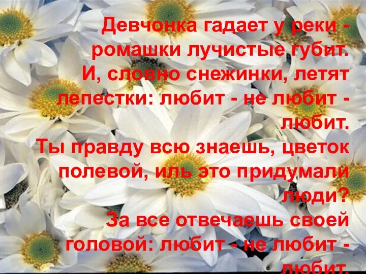 Девчонка гадает у реки -ромашки лучистые губит. И, словно снежинки, летят