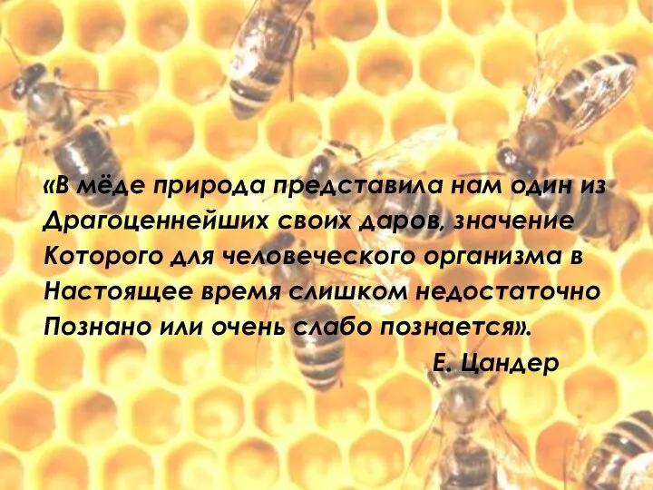 «В мёде природа представила нам один из Драгоценнейших своих даров, значение