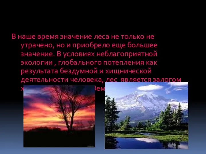 В наше время значение леса не только не утрачено, но и