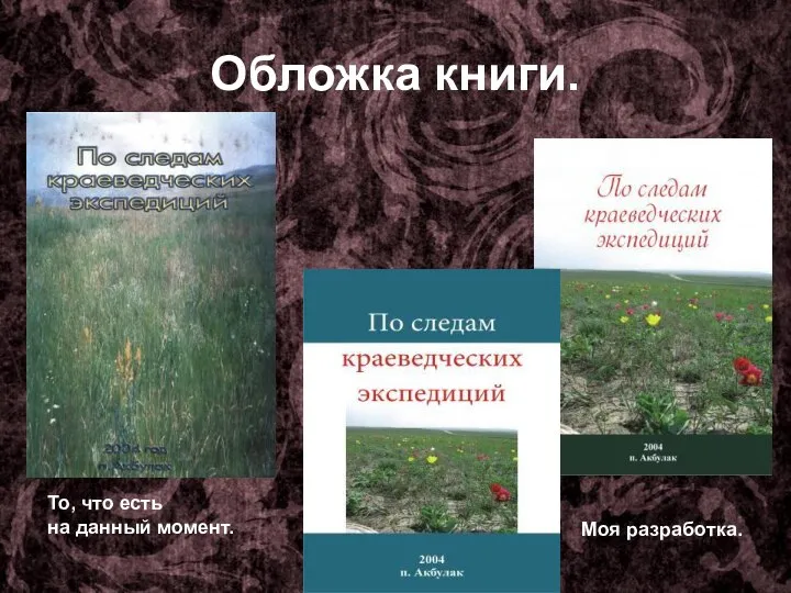 Обложка книги. Моя разработка. То, что есть на данный момент.