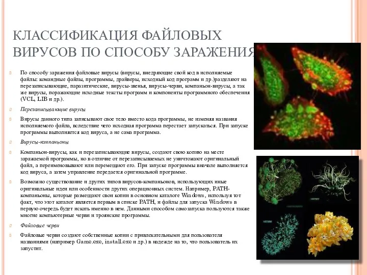 КЛАССИФИКАЦИЯ ФАЙЛОВЫХ ВИРУСОВ ПО СПОСОБУ ЗАРАЖЕНИЯ По способу заражения файловые вирусы