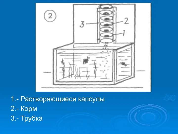 1.- Растворяющиеся капсулы 2.- Корм 3.- Трубка