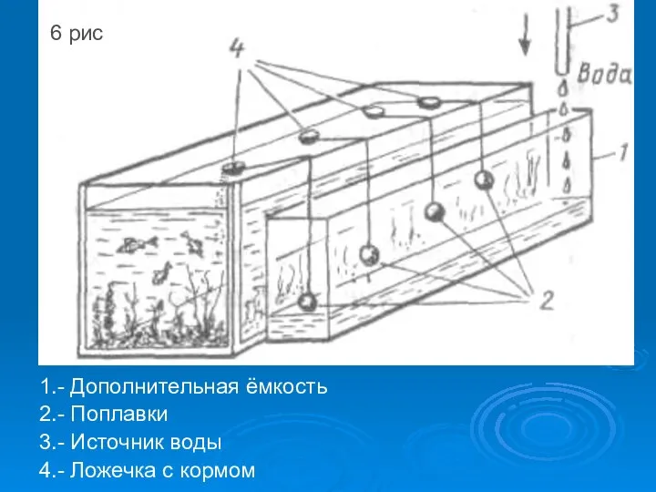 6 1.- Дополнительная ёмкость 2.- Поплавки 3.- Источник воды 4.- Ложечка с кормом 6 6 рис